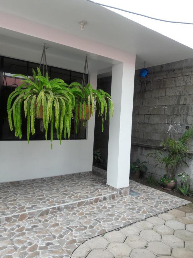 منزل الضيف اوكسابامبا  في Suzet House المظهر الخارجي الصورة